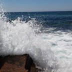 Sydney (Narabeen) - 16