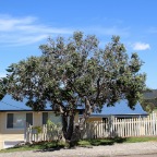 Sydney (Narabeen) - 20