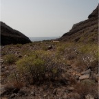 El Cabrito (Gomera)_011